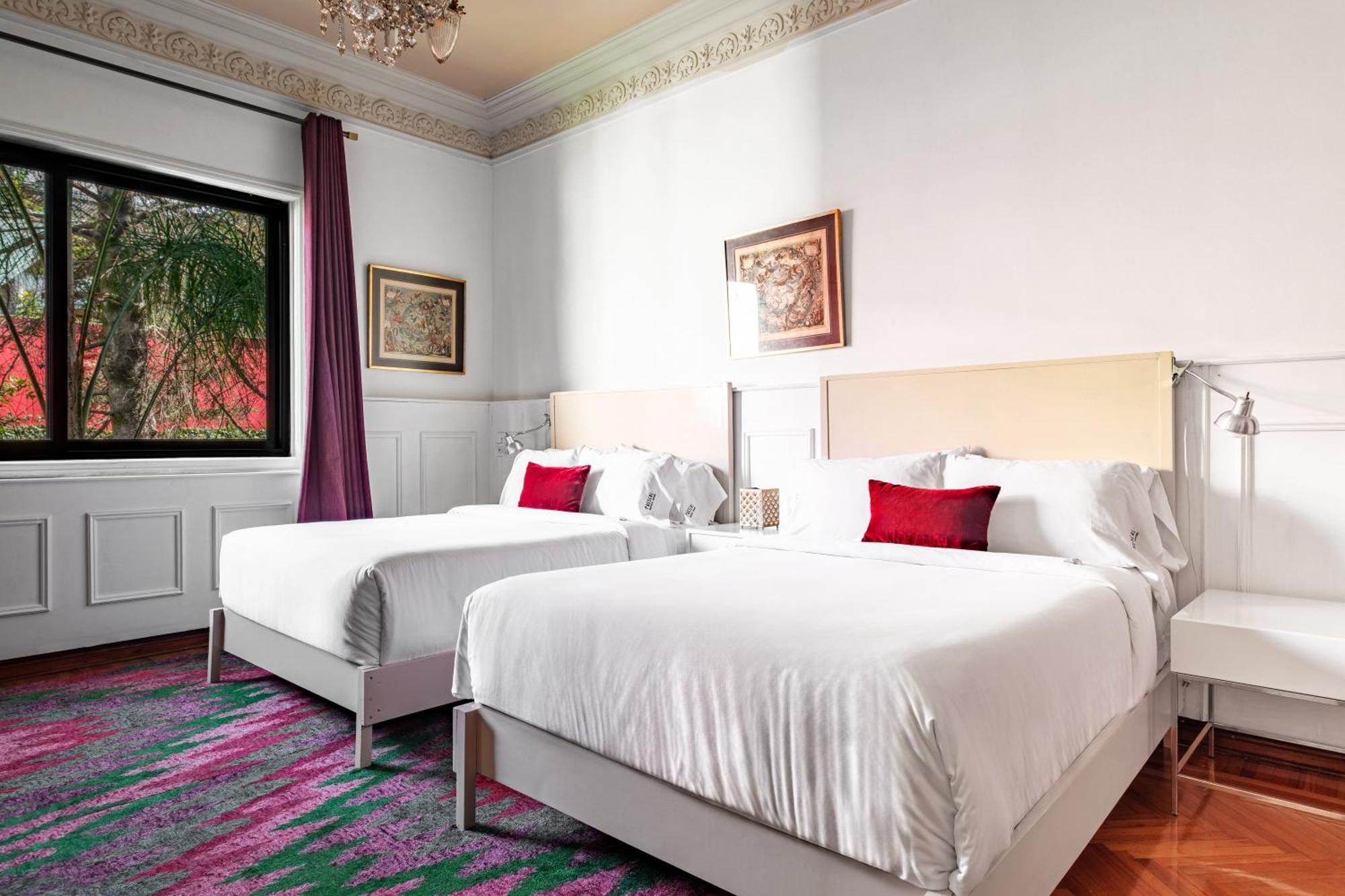 Pug Seal Polanco Anatole France Hotel