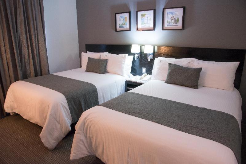 Laila Cdmx Reforma Hotel