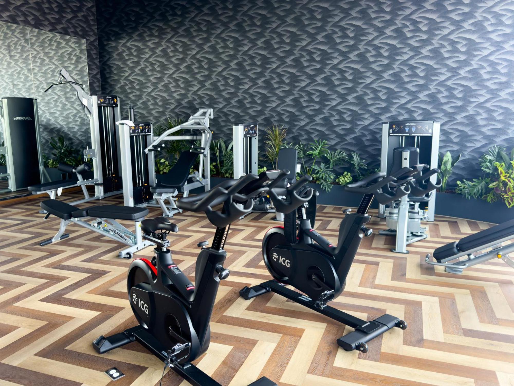 Loft Xolo Cdmx