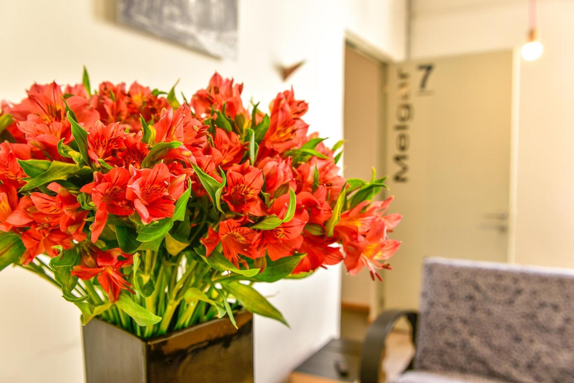 Guest house Casa Melgar Mexico City