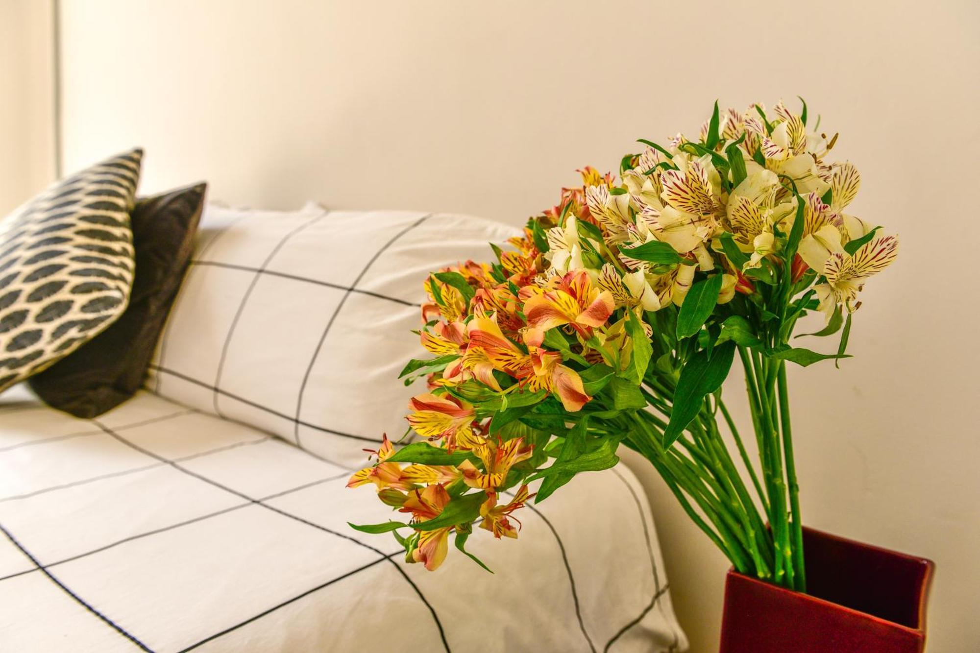 Guest house Casa Melgar Mexico City