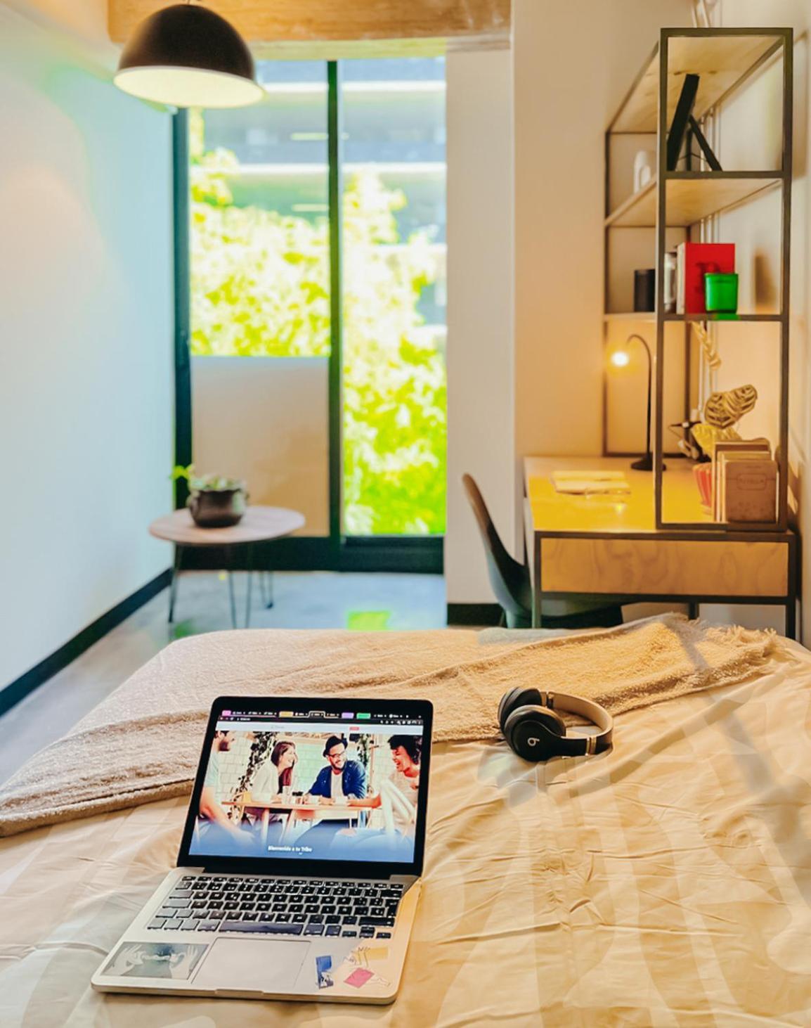 Triver Coliving Apartment Mexico City