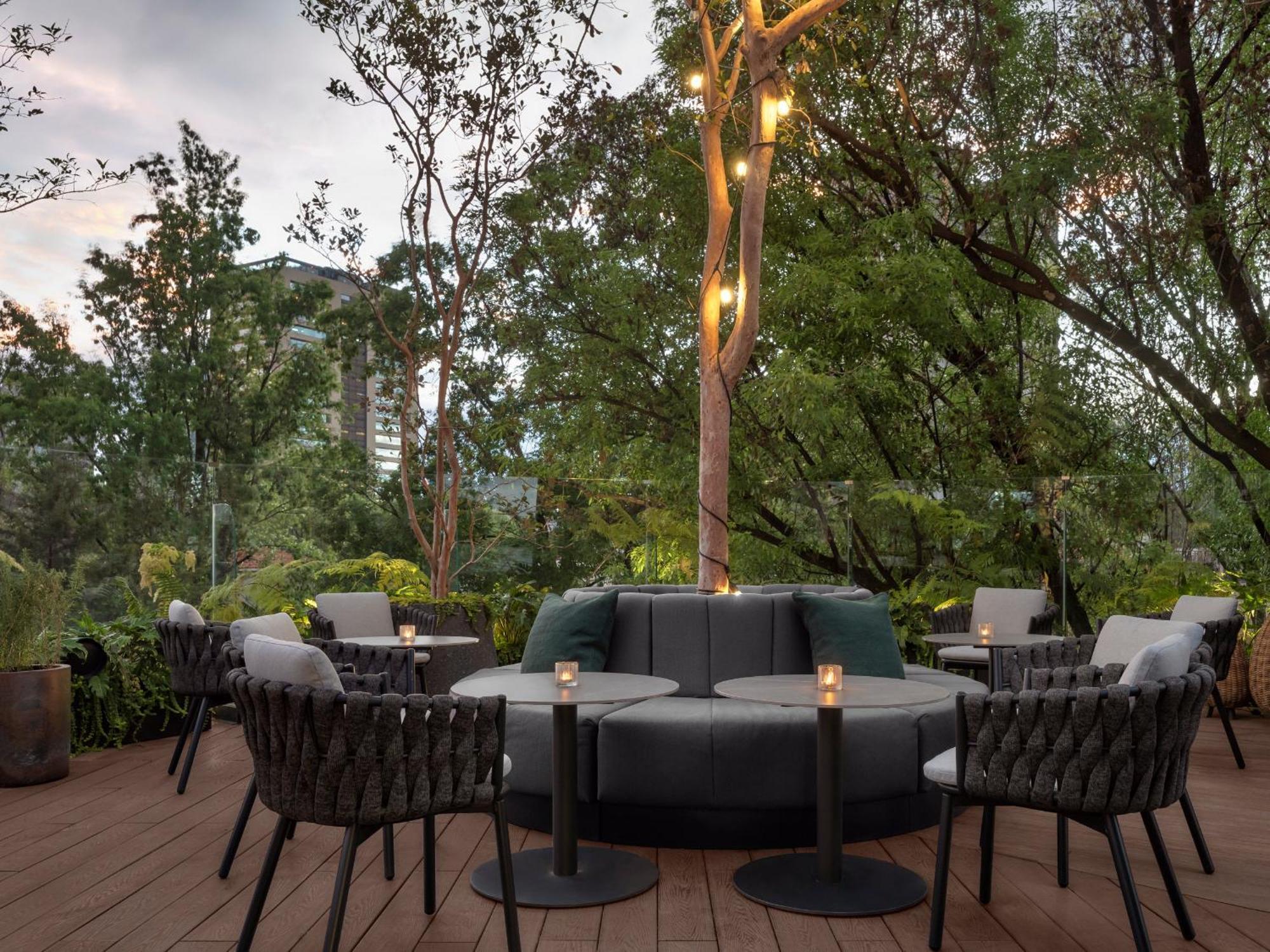 Hotel Kimpton Virgilio By Ihg México DF