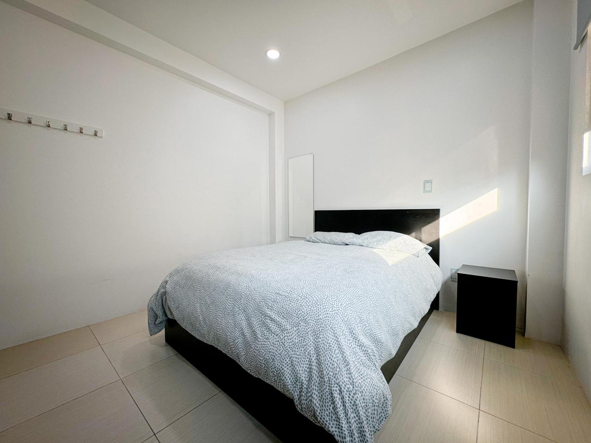 Full 15 Min From Airport, Coyoacan, Foro Sol * México DF