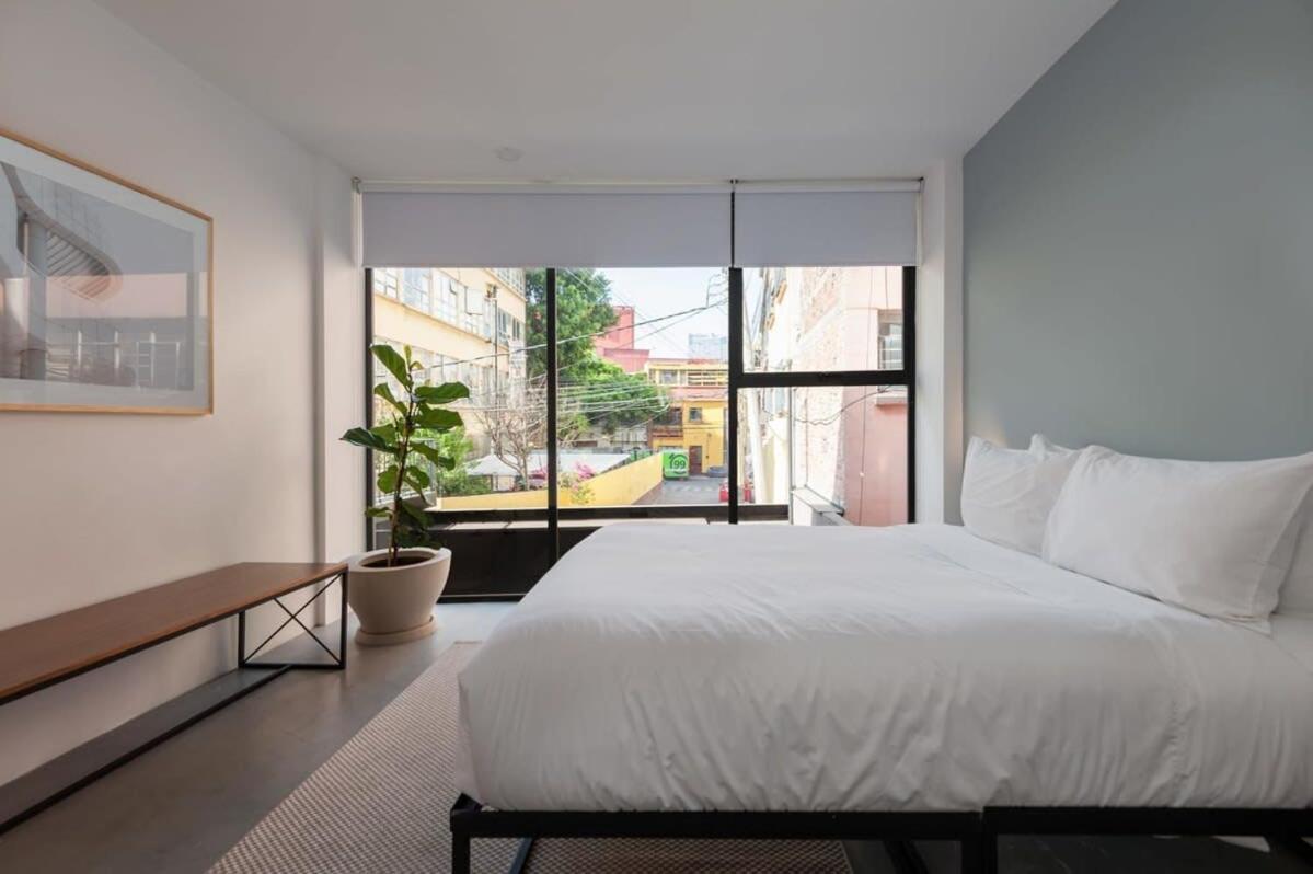 Apartment Homey 2br In Roma Norte Mexico City