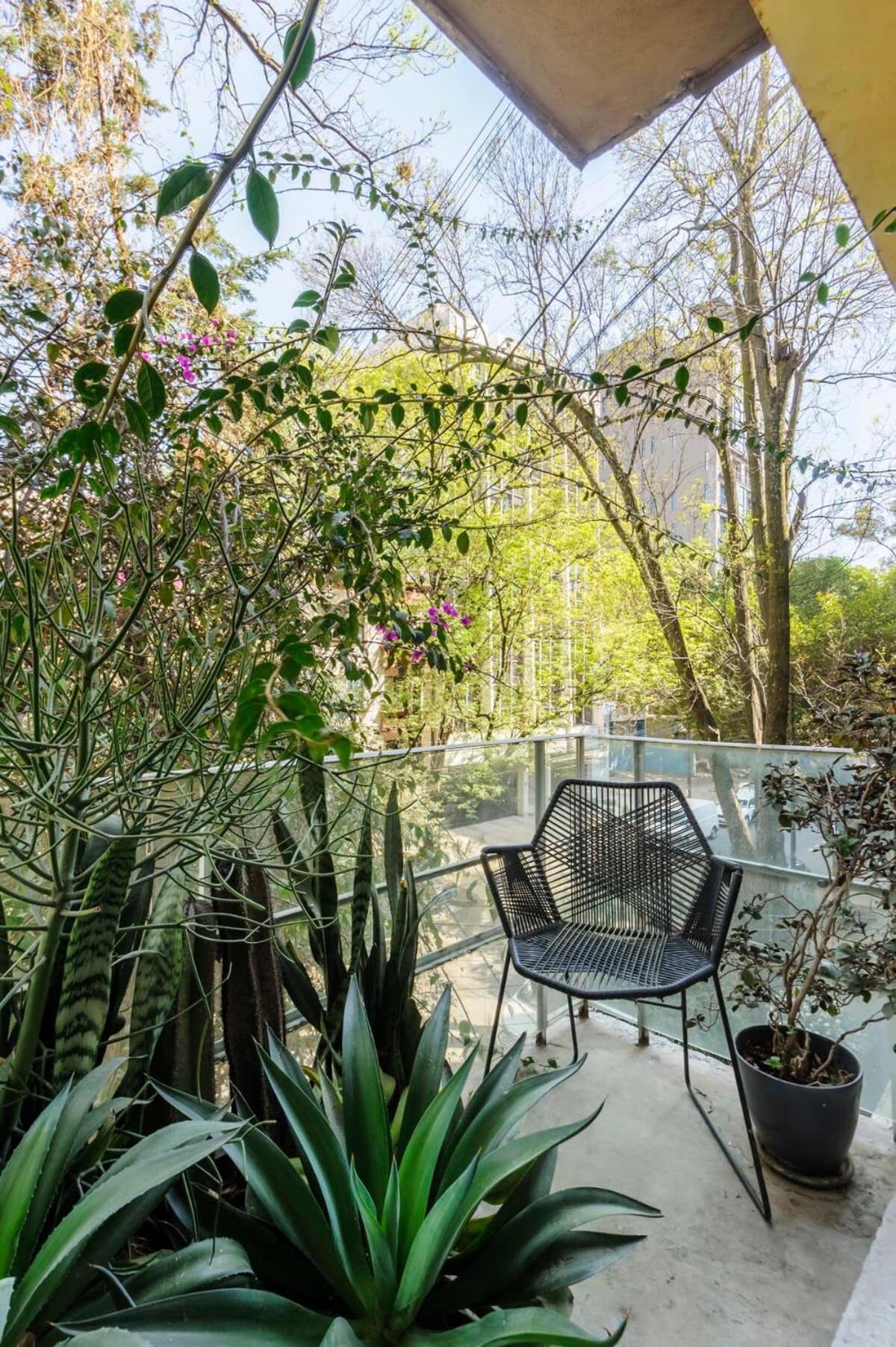 Apartamento Authentic 1br In Polanco