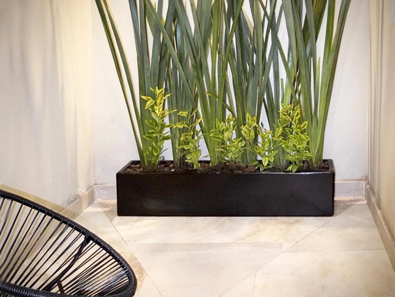 Flats Friends Condesa-pelotari Apartamento