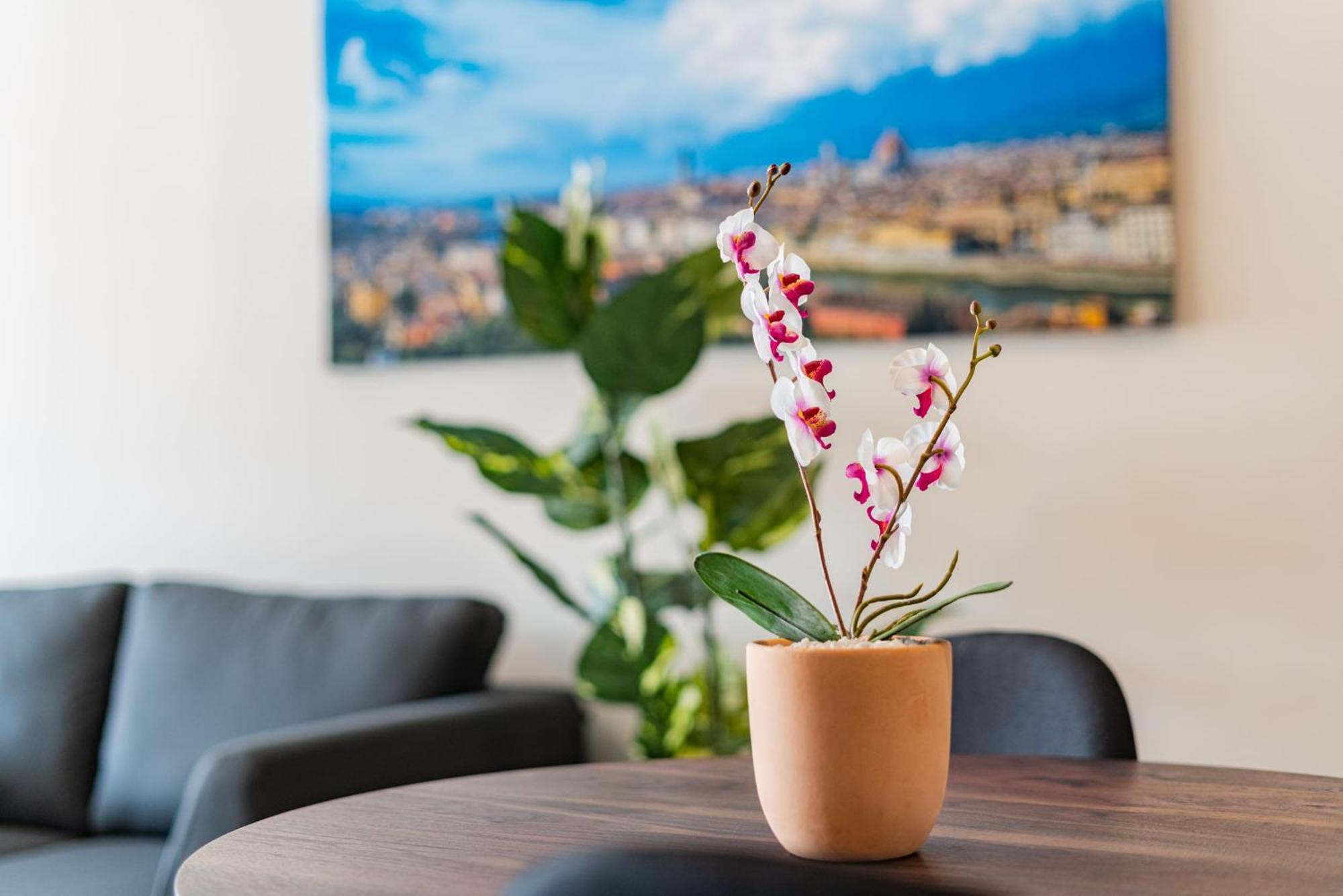 Apartamento Roma Norte By Vh México DF