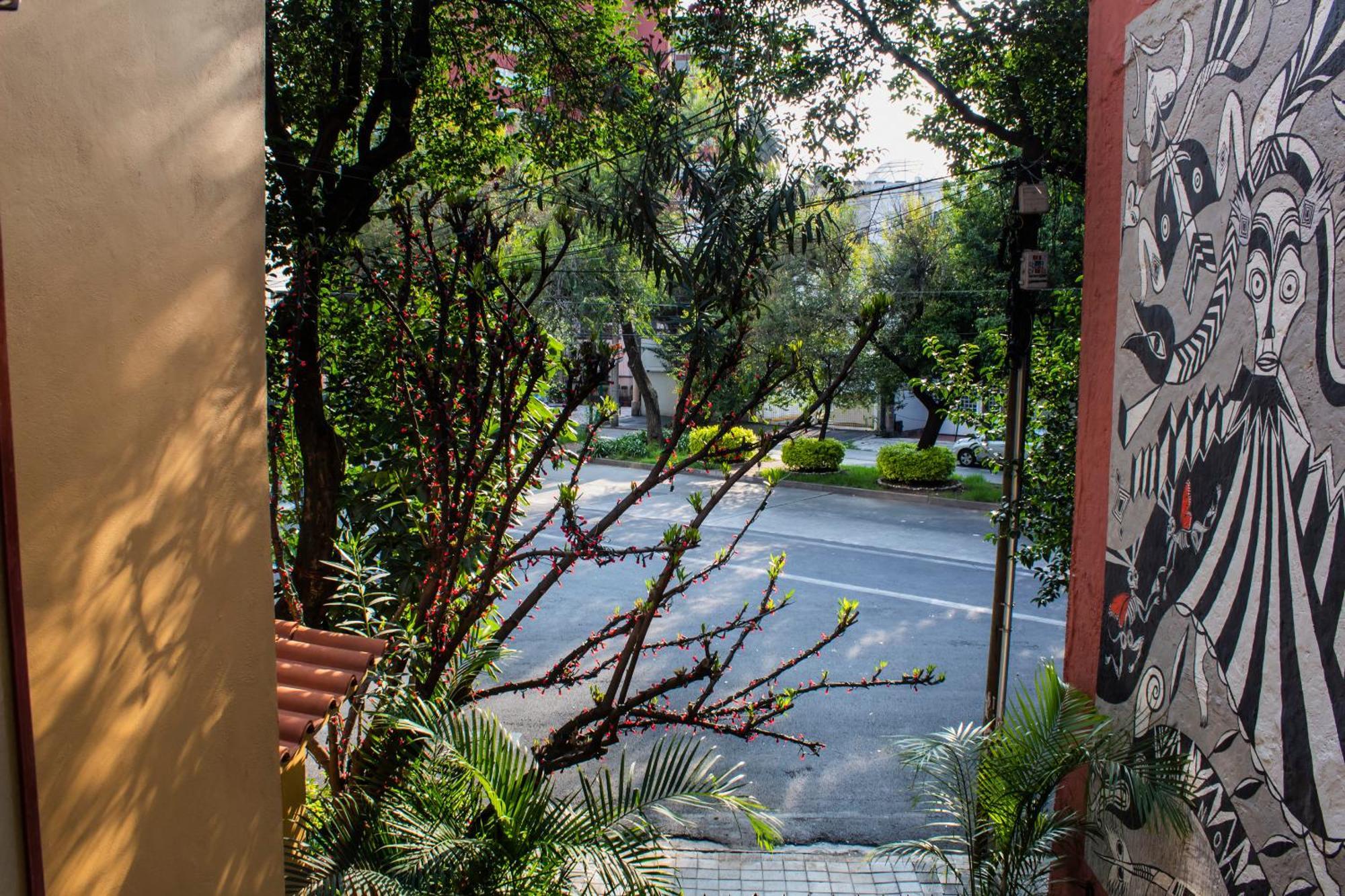 The Red Tree House * México DF