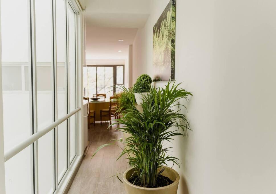 Tamaulipas 2br By Lomah Apartamento *