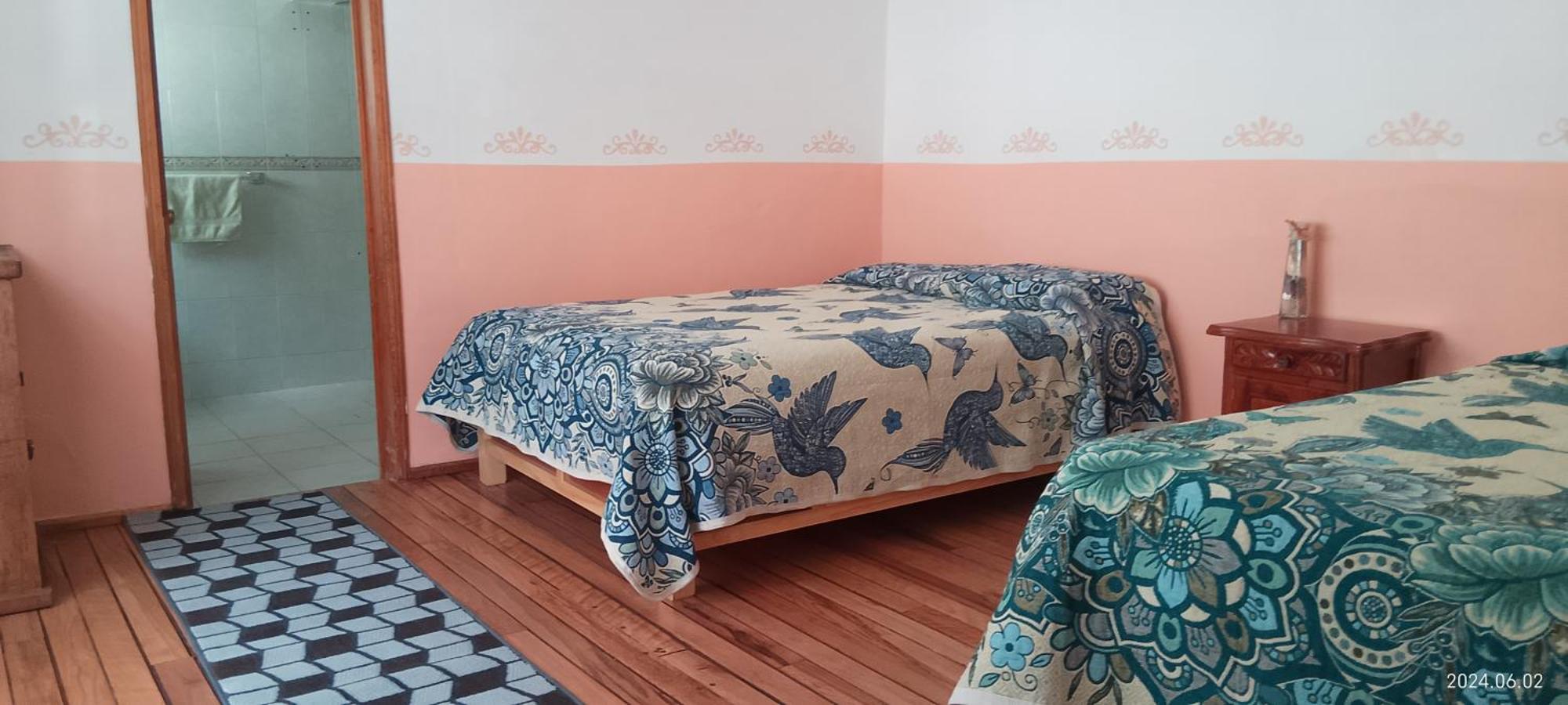 Casa Mexicana Homestay Mexico City