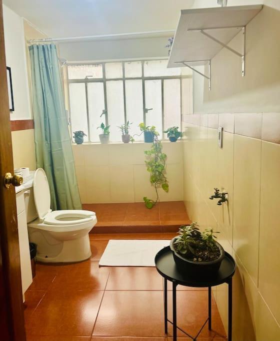 Apartamento Lindo Departamento En Rio Elba Cuauhtemoc México DF
