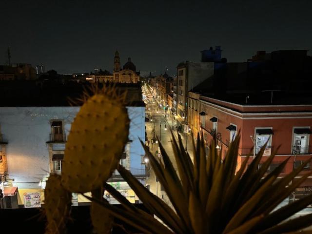 Casa Sabina Down Town *