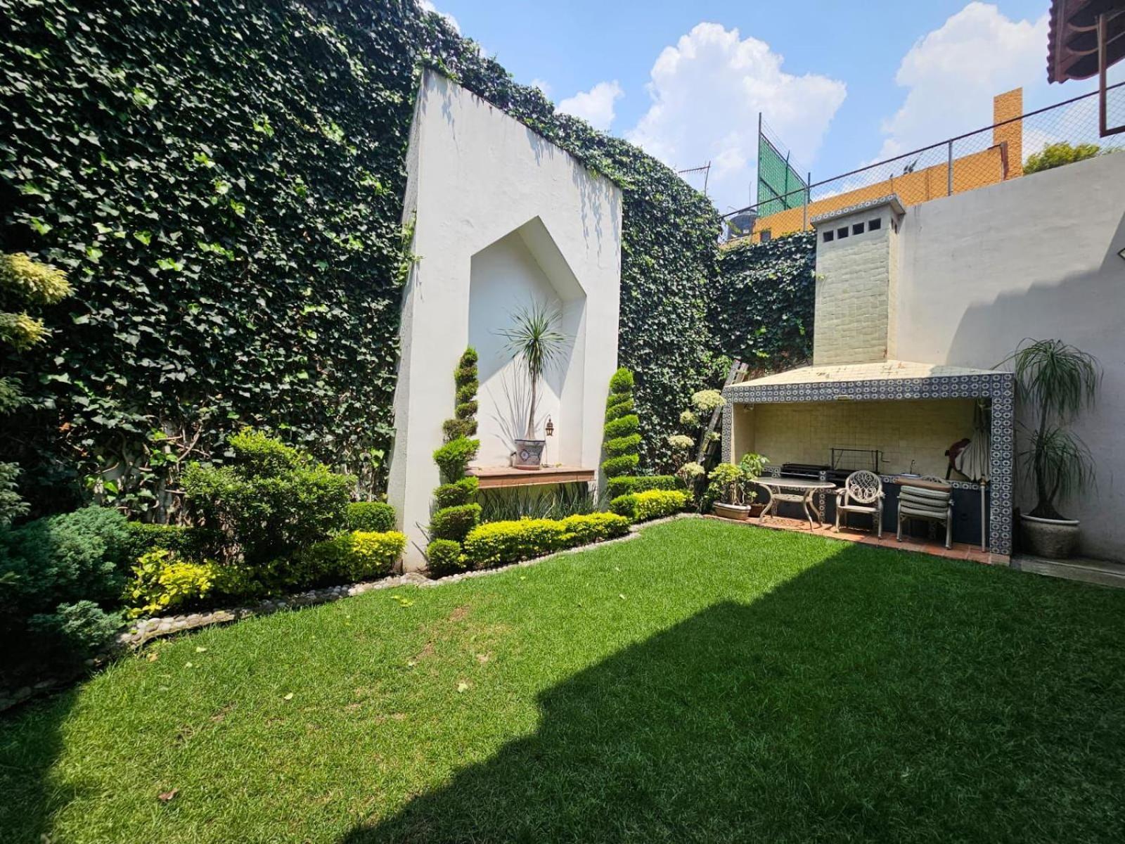 Vive Coyoacan Cdmx * México DF