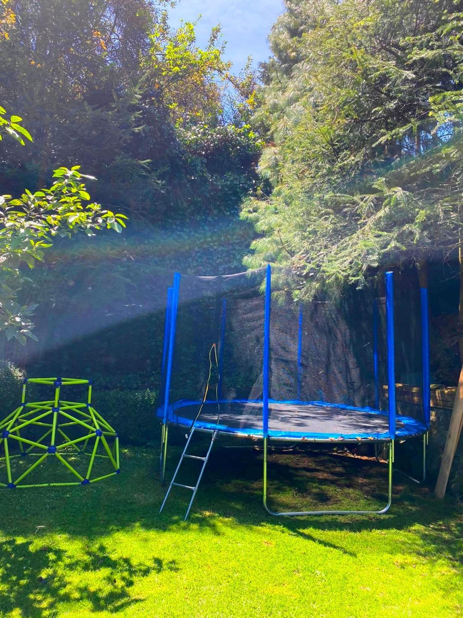 Camping Tipo Cabana, Rodeado De Bosque