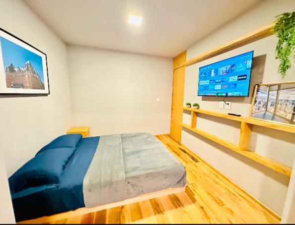 Guest house Casa Isolda Mexico City