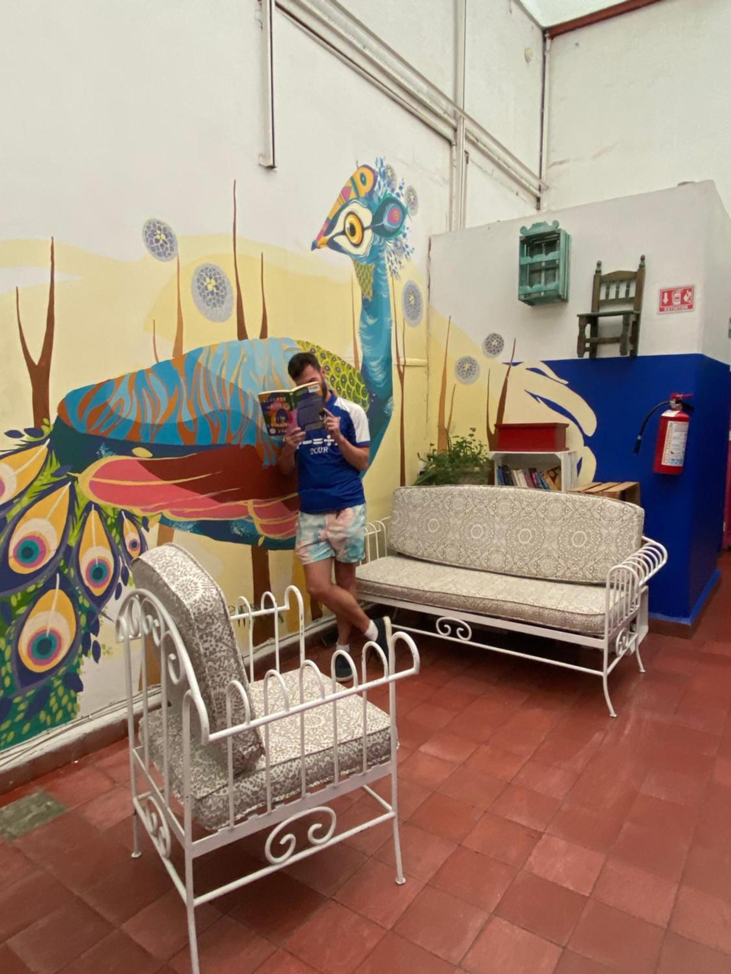 Hostel Home * Mexico City