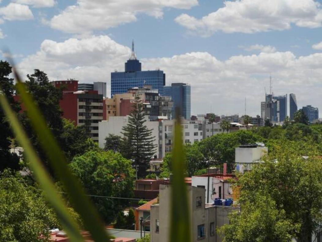 Pequeña Frida - Design Cdmx México DF