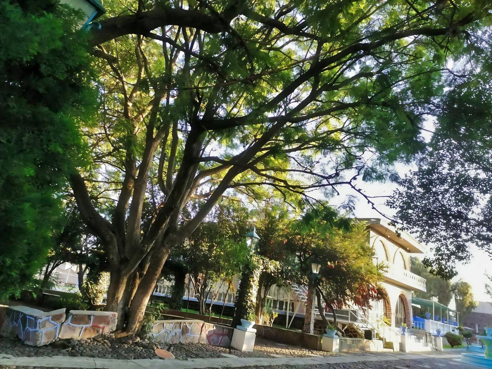 Hacienda Morales Apartamento