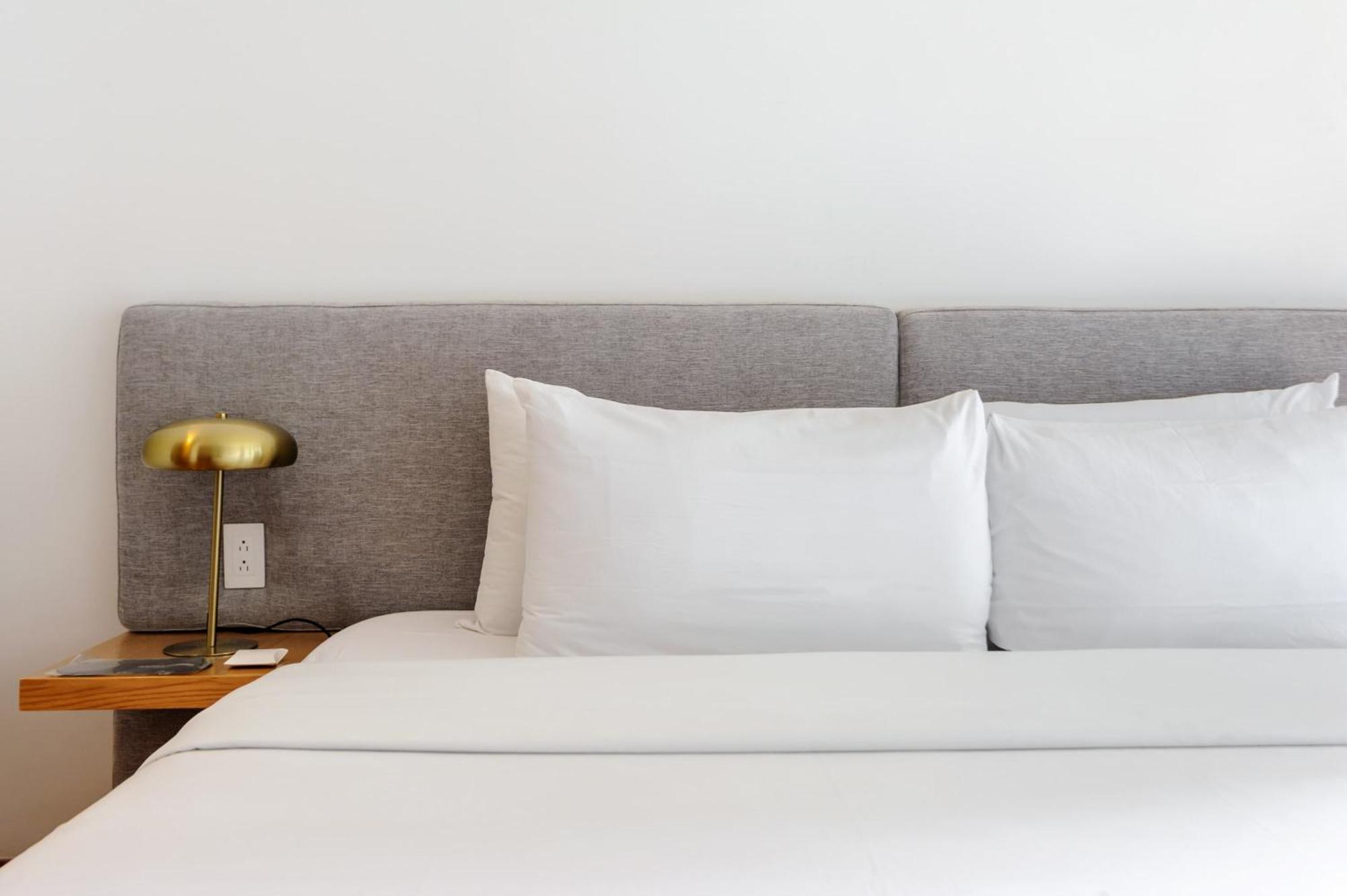 Resplendent 2br In Roma Norte Apartamento *