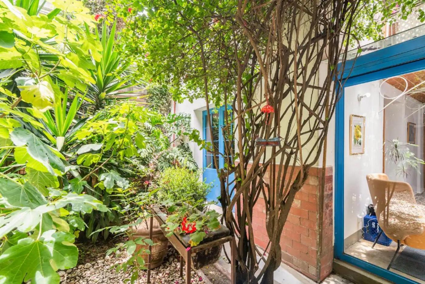 Apartamento Mexican Traditions 1br Garden Roma Norte