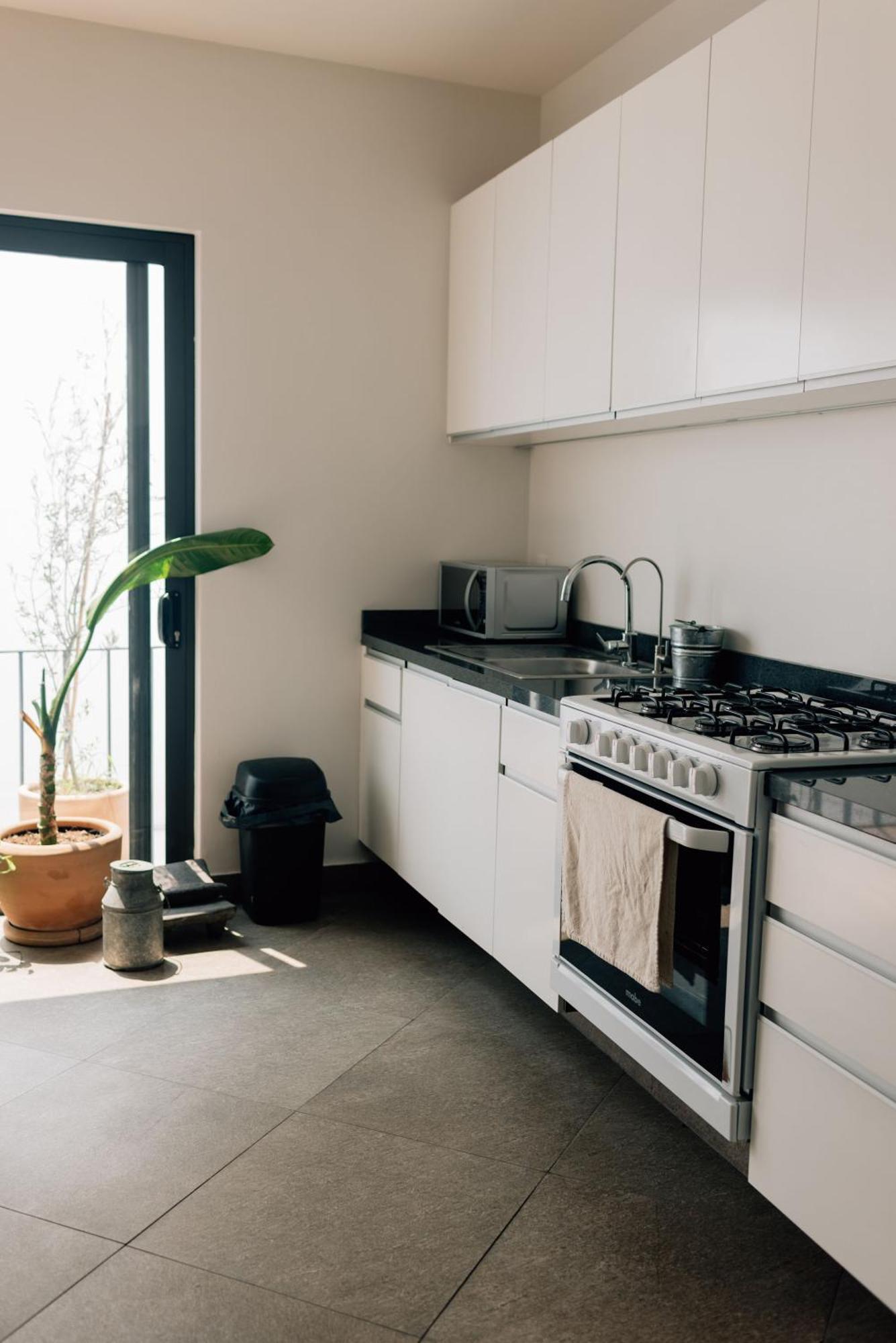 Casa Xotol México DF