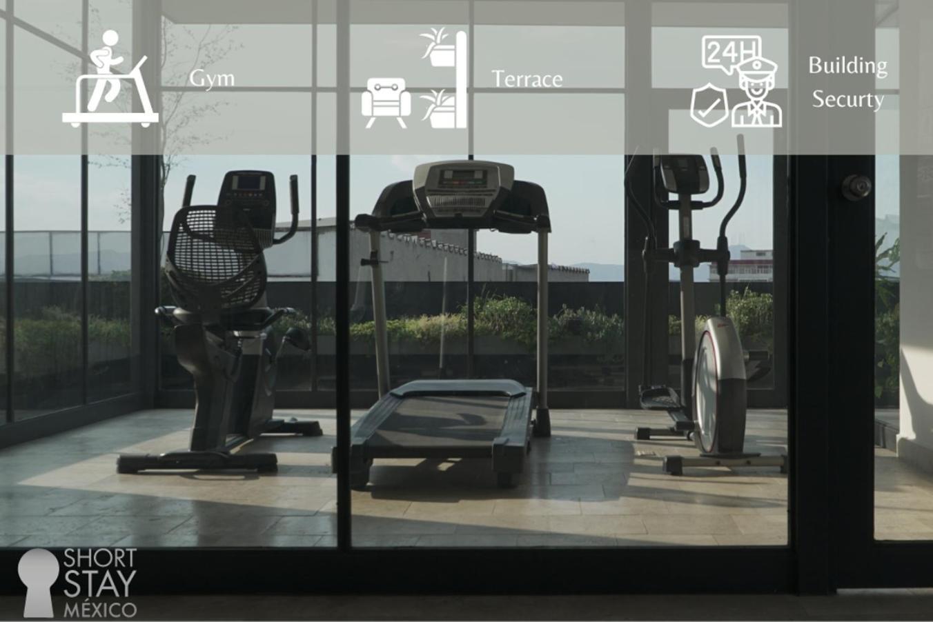 Loft Centro Terrace Gym 247 Security Mexico City