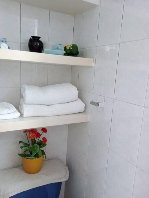 Lunas En La De Rio Amazonas Por Reforma 222 Apartamento *