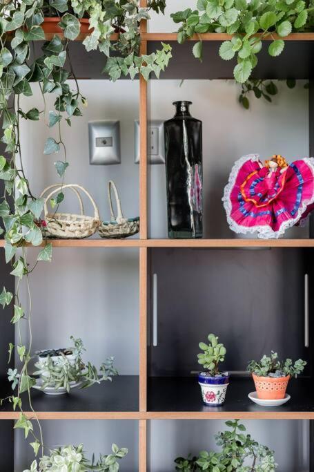 Apartamento Savor Views Over Breakfast At A Bold, Bohemian Escape México DF