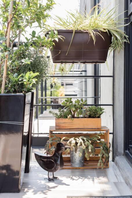 Savor Views Over Breakfast At A Bold, Bohemian Escape * México DF