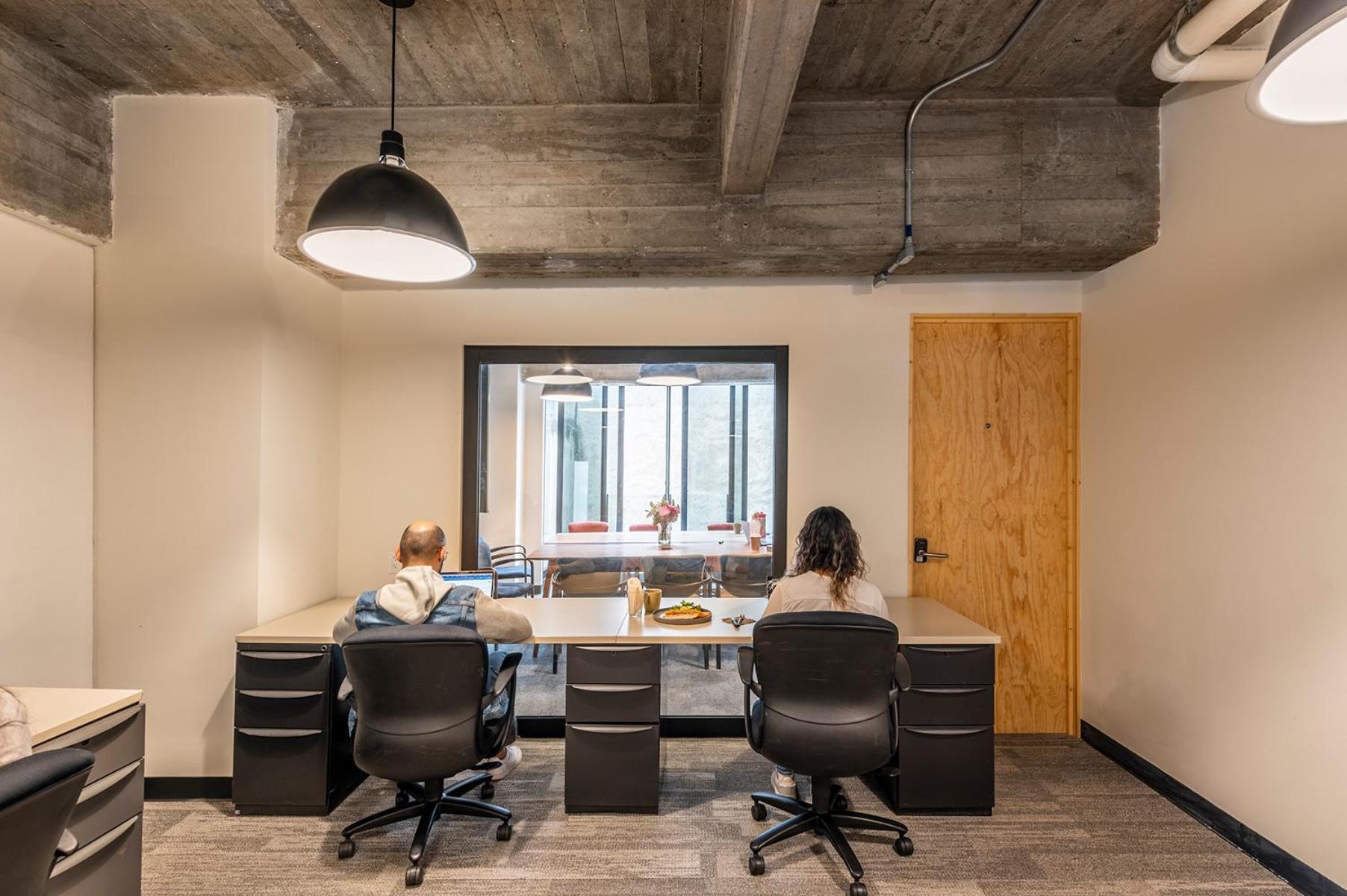 Triver Coliving * Mexico City