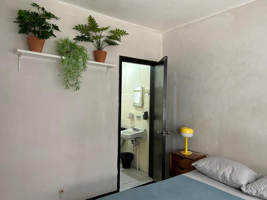 Cozy Roma Norte, Heart Of The