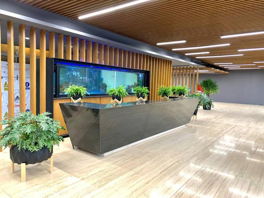 Departamento En Cdmx Con Gym Y Coworking * Cidade do México