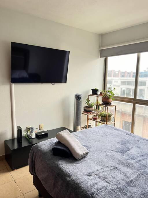 Apartamento Living Centro Historico 705