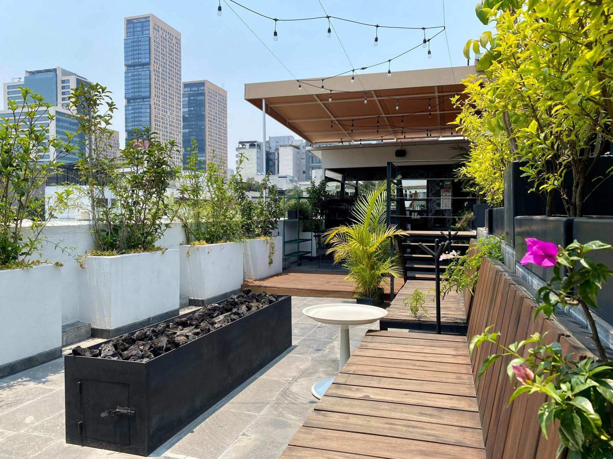 Pug Seal Polanco Anatole France 5*