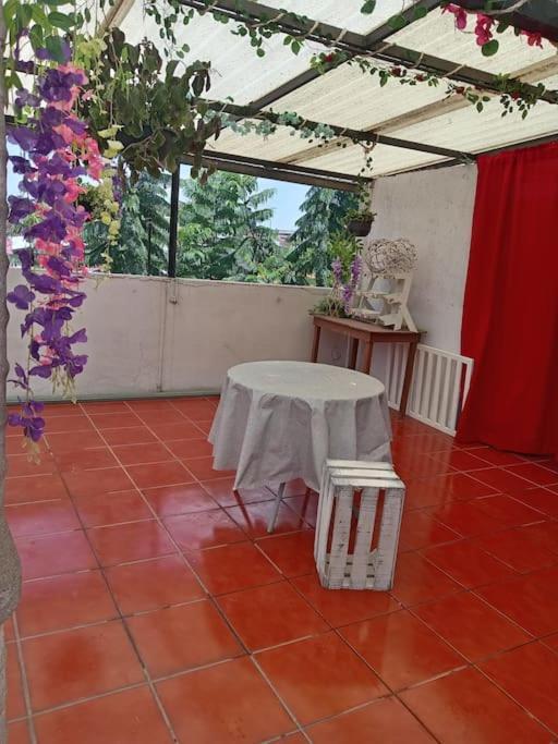 La Mas Comoda Y Elegante Apartamento