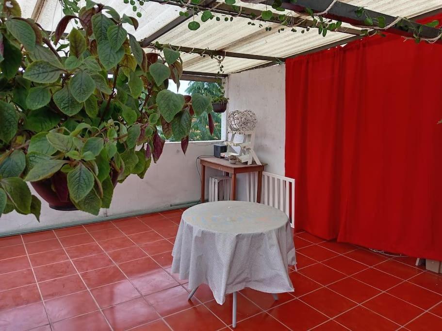 La Mas Comoda Y Elegante Apartamento