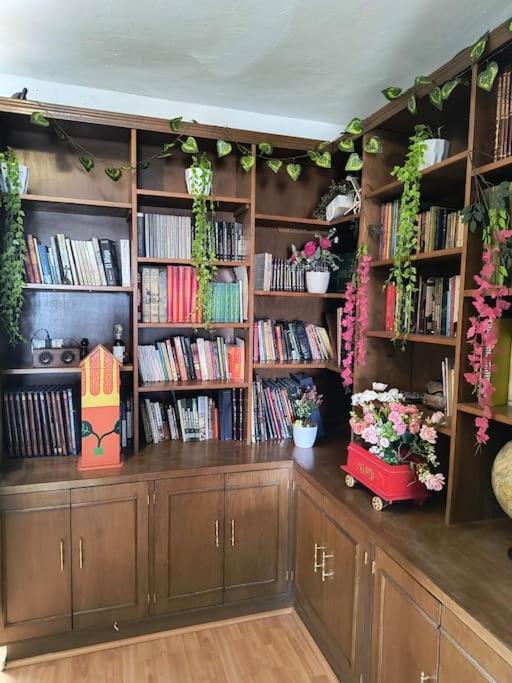 La Mas Comoda Y Elegante Apartamento México DF