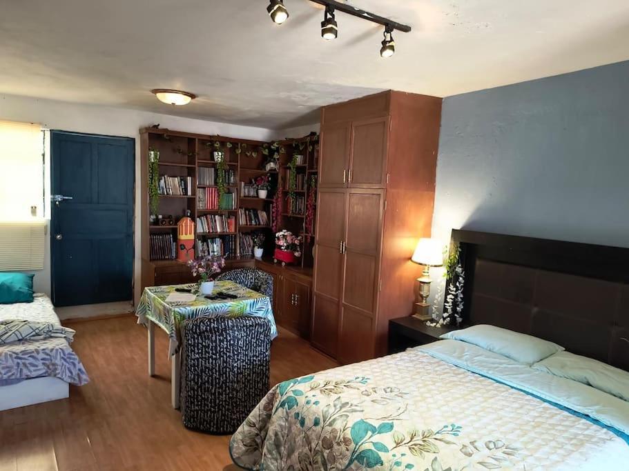 La Mas Comoda Y Elegante Apartamento México DF