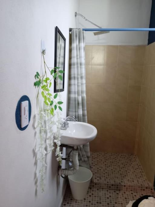 La Mas Comoda Y Elegante Apartamento México DF