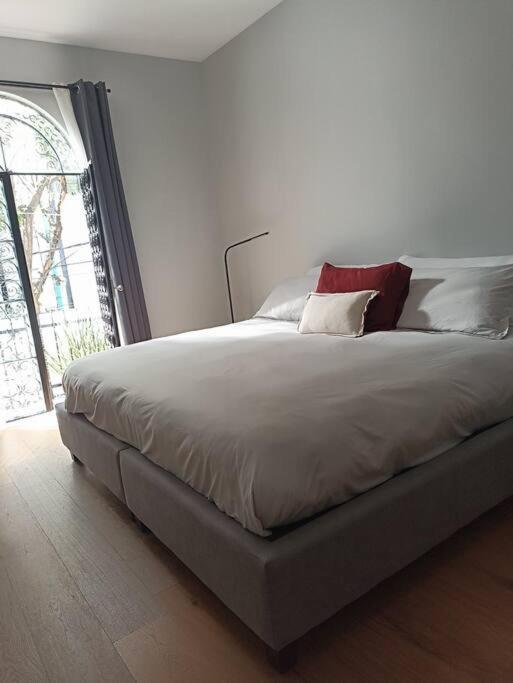Hermoso & Acogedor En Condesa