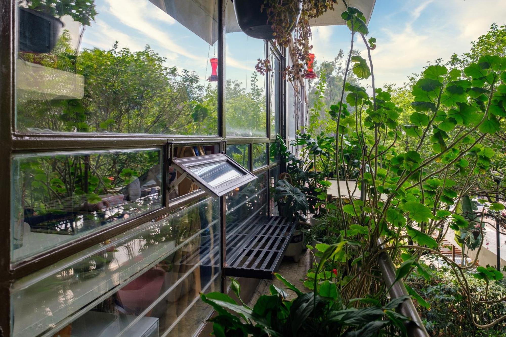 Bed and breakfast Casa Itzae Polanquito Dog Friendly