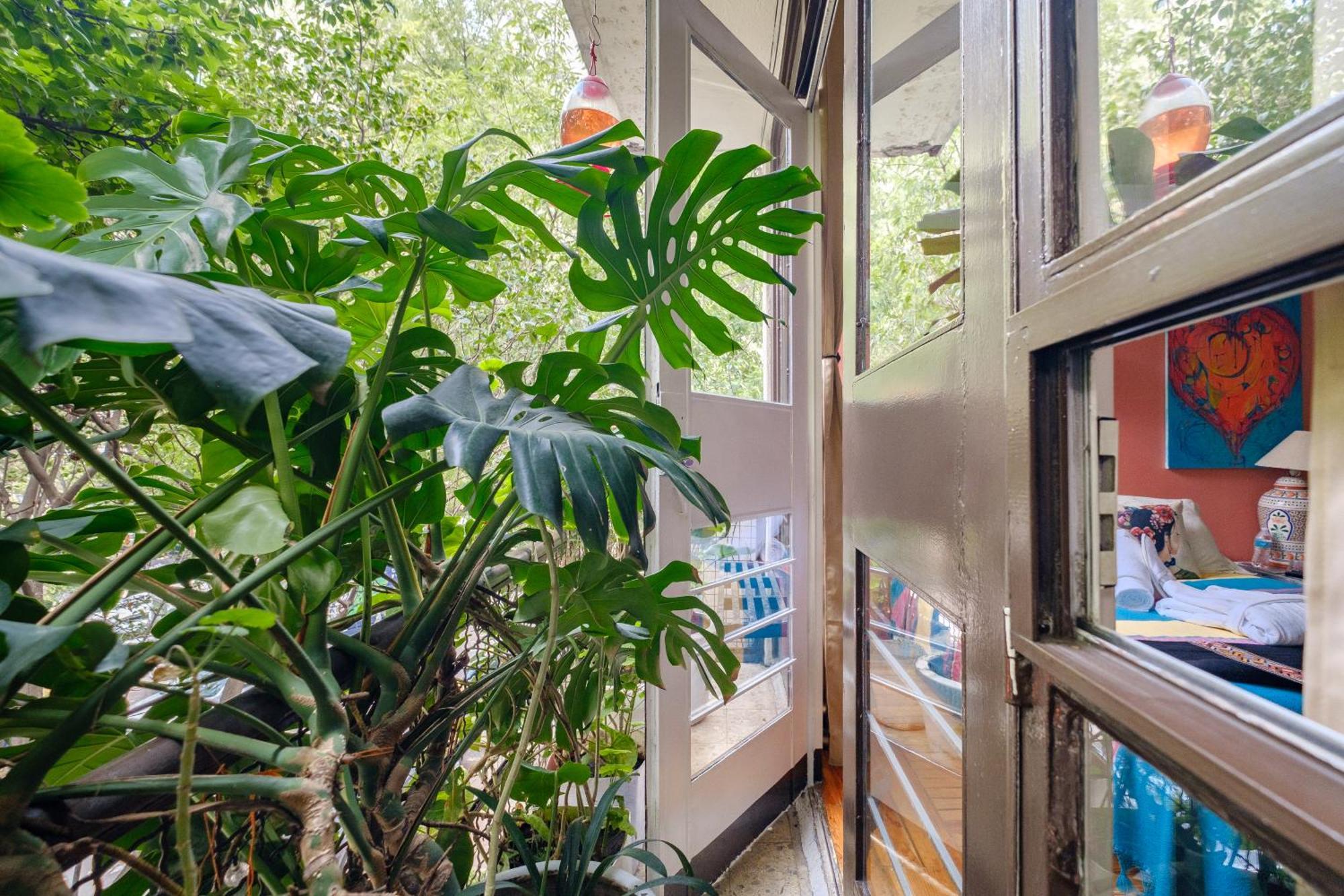 Bed and breakfast Casa Itzae Polanquito Dog Friendly *