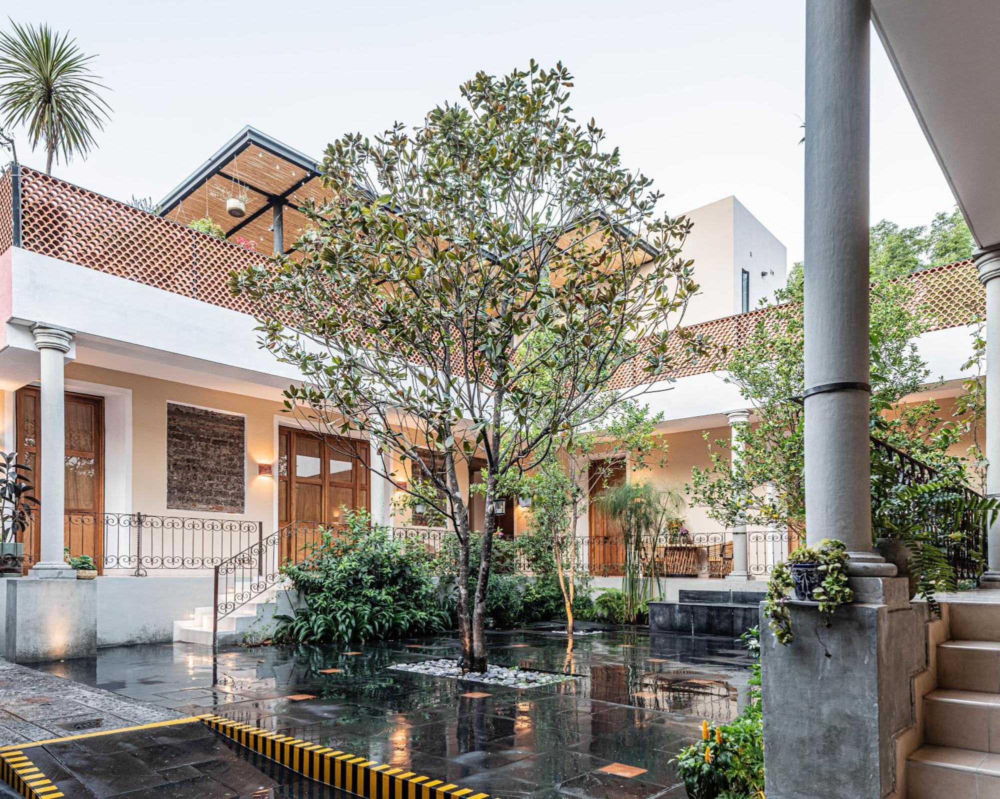 Casa Tuna Mexico City