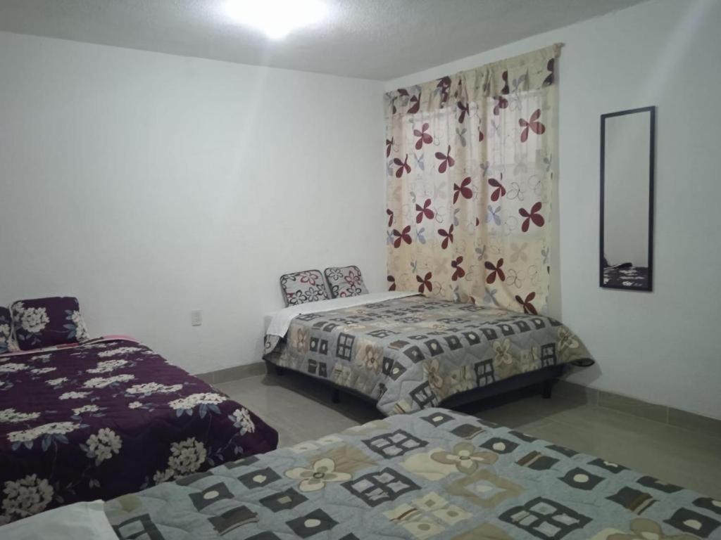 Gama México DF