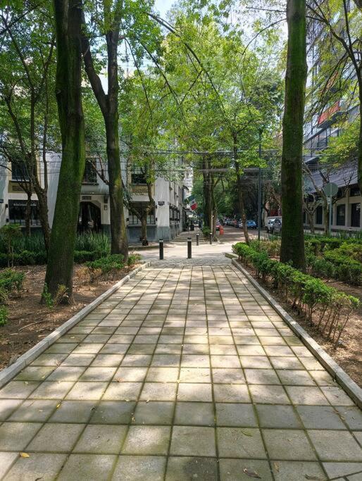 Apartment Ave Amsterdam 2br At Parque Mexico!