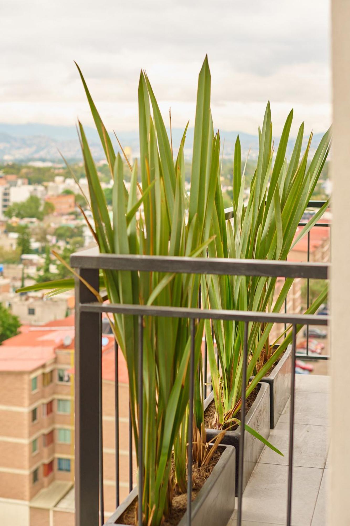 Santa Ines Depto Cdmx Apartamento México DF