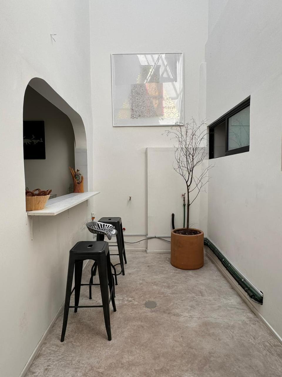Fresh Condesa Space Chic *