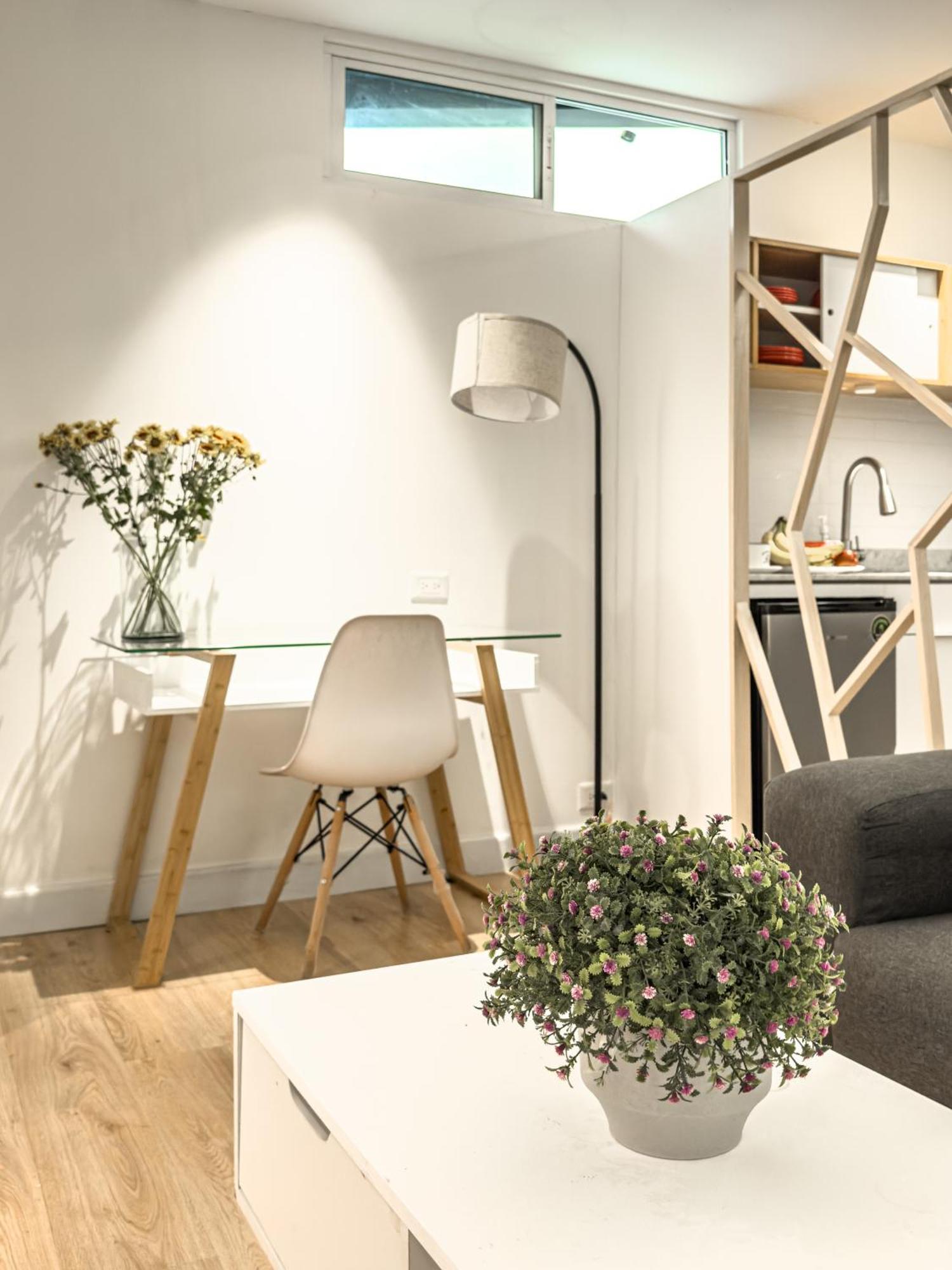 Cute Quiet Studio, Smart Tv, Six Flags 1 Km Hotel