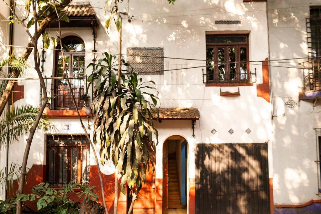 Luxury Condesa Apartamento
